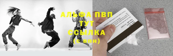 сатива Аркадак