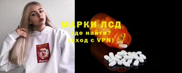 сатива Аркадак