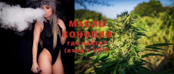 сатива Аркадак