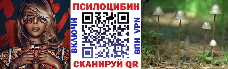 Галлюциногенные грибы Cubensis  ОМГ ОМГ ТОР  Артём 